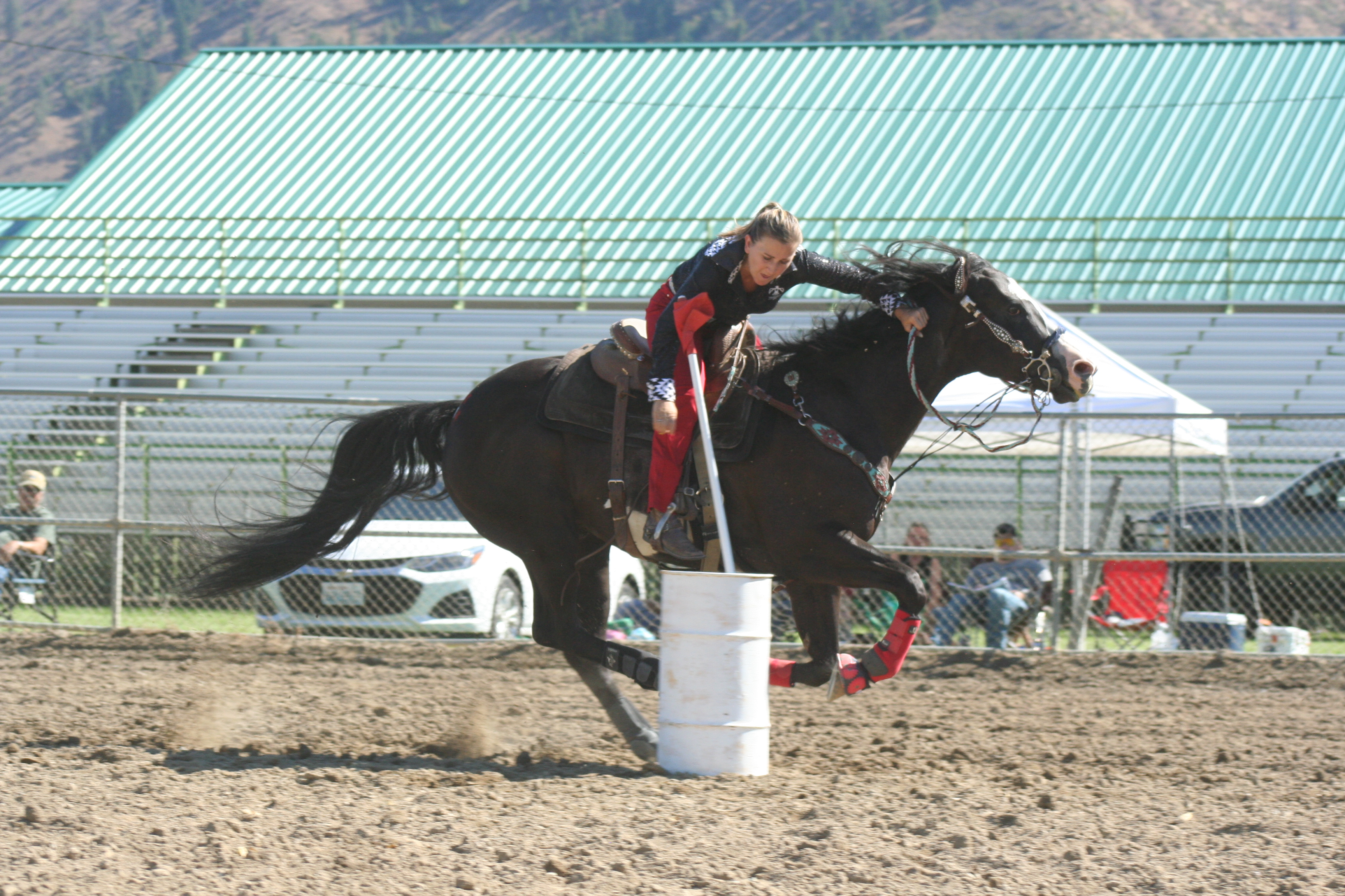 Alyson and Panda at WSH State Finals