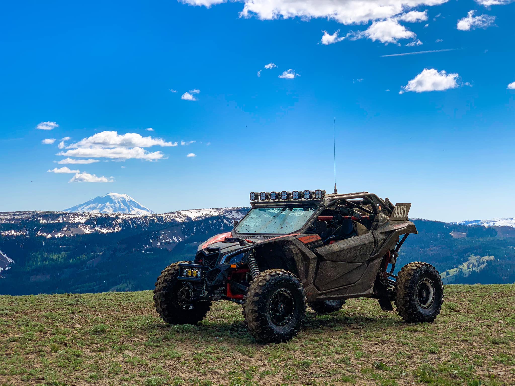 The Honey Badger exploring Yakima area; Photo Credit: Alyson Rehm